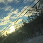 Profile Picture of 16_peanut_16 (@lillianmack123) on Instagram