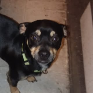 Profile Picture of james ebner (@ebner.james) on Instagram