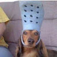 Profile Picture of Erica Dowling (@erica-dowling-9) on Quora