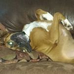 Profile Picture of michael robert rumley (@michaelrobertrum) on Instagram