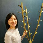 Profile Picture of Emily Yeh (@emilyyeh) on Instagram