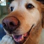 Profile Picture of Kim Bruskevith Bergsma (@ksbergsma) on Instagram