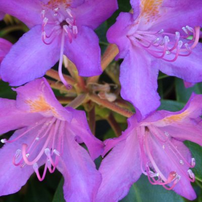 Profile Picture of L.Sinclair Richard (@lsinclair37) on Twitter