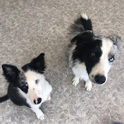 Profile Picture of Cathy Fowler (@cathyfowler906) on Youtube