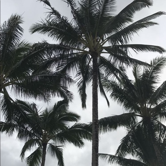 Profile Picture of Jenna Rozic (@jennarozic) on Poshmark