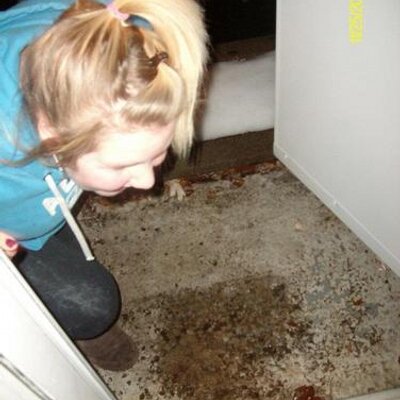 Profile Picture of Kaylin Freeman (@KaylinFreeman1) on Twitter