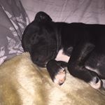 Profile Picture of Aurora Ray Dunning (@auroraraydunning) on Instagram