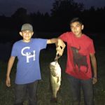 Profile Picture of octavio_vera123 (@octavio_vera123) on Instagram