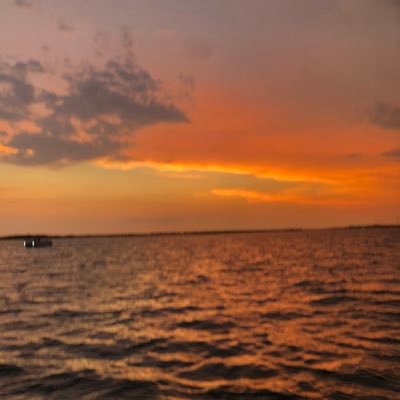 Profile Picture of David Tamayo (@dtamayos) on Twitter