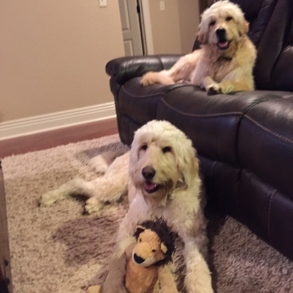 Profile Picture of Emily Meckem (@ecwarford) on Poshmark