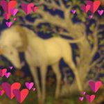 Profile Picture of Linda Decker (@linda.decker.77985) on Instagram