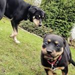 Profile Picture of Lara Schmit (@lara.schmit99) on Instagram