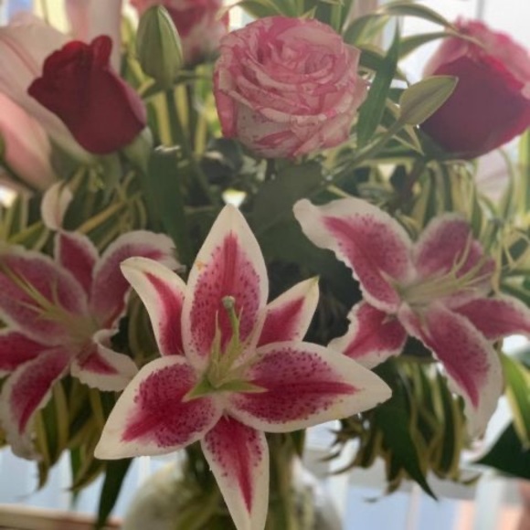 Profile Picture of Fia Sulusi mamea-uelese (@ftuelese) on Poshmark