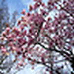 Profile Picture of Jim Abercrombie (@landjaber) on Flickr