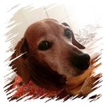 Profile Picture of Maria Lucia Gibson (@marialuciagibson) on Instagram