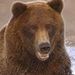 Profile Picture of Oleg Gorloff (@ogorloff) on Pinterest