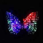 Profile Picture of pamela savage-bailey (@pamelasavagebailey) on Flickr