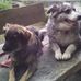 Profile Picture of Richard Hauenstein (@richard.hauenstein.7) on Facebook