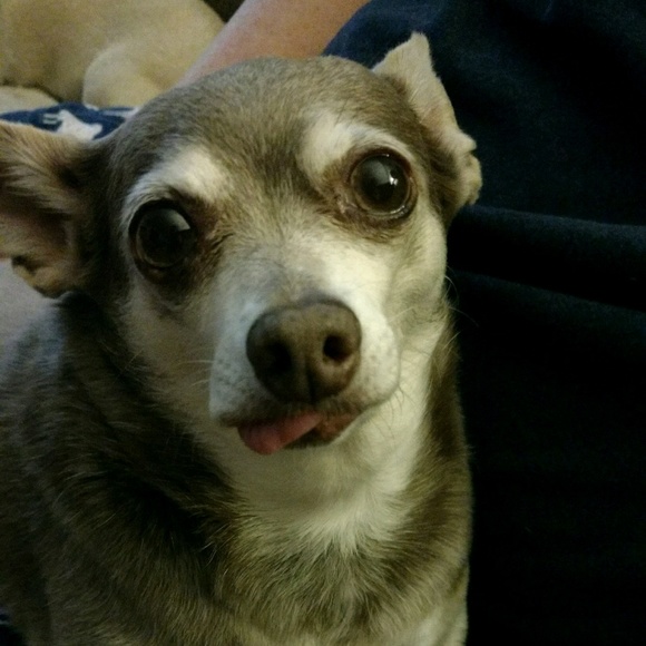 Profile Picture of Jill Hennessey (@coriefuntimes) on Poshmark