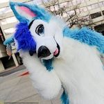 Profile Picture of Daniel (@i_luv_my_furry_self) on Instagram