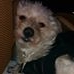 Profile Picture of Ruby Gass (@ruby.gass.5) on Facebook