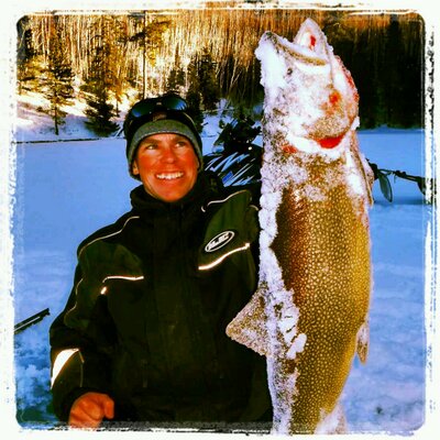 Profile Picture of Steve Saarinen (@SaarinenSteve) on Twitter