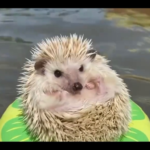 Profile Picture of Sean Harrington (@seanharringt222) on Poshmark