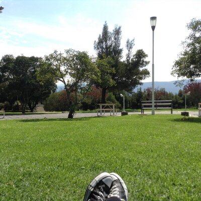 Profile Picture of David Morejón (@MrDaveBones) on Twitter