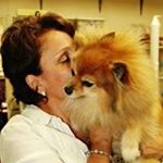 Profile Picture of Anastasia Manesis (@manesisanastasia) on Instagram