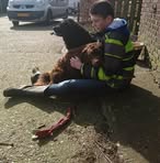 Profile Picture of Rutmer Pratley (@rutmer.pratley.7) on Facebook