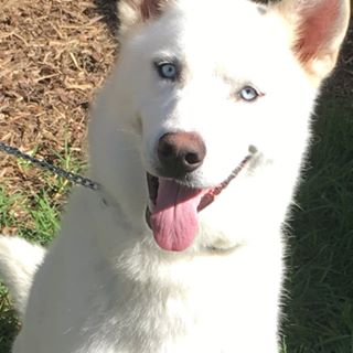 Profile Picture of Marjorie Hyland (@marjorie.hyland.18) on Facebook