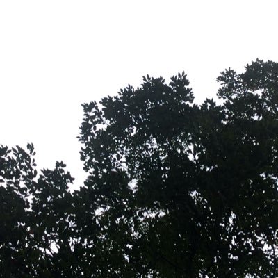 Profile Picture of Connor Pratt (@pratt_connor8) on Twitter