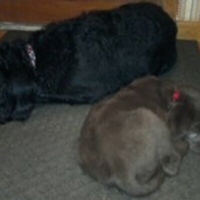 Profile Picture of Tobias And Jeremiah (@TobyandJerry) on Twitter