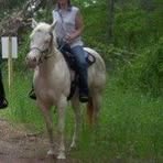 Profile Picture of Claudia Balcom (@claudia.balcom) on Facebook