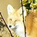 Profile Picture of garyspc (@garyspc) on Flickr