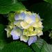 Profile Picture of Leonard Lovelace (@leonardlovelace) on Pinterest