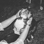 Raymond koite - Instagram Profile Picture of Raymond koite (@laneyray0) on Instagram