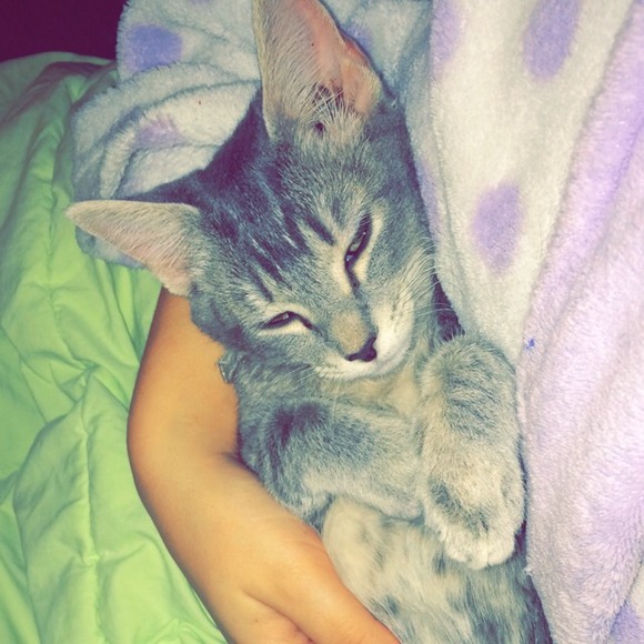 Jordan Hipkins - Poshmark Profile Picture of Jordan Hipkins (@jordy_hipkins) on Poshmark