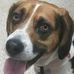 Profile Picture of Kevin Downey (@kevin.downey.9619) on Facebook