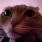 Profile Picture of Alanna Herd (@alannaherd) on Instagram