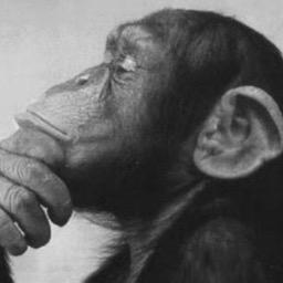 Profile Picture of Craig (@BourbonPhiloso4) on Twitter