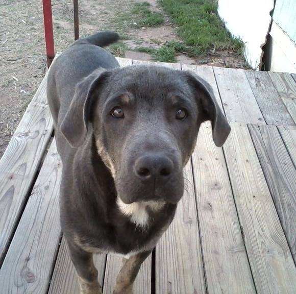 Profile Picture of Gail Smirl (@gailsmirl) on Poshmark