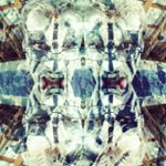 Profile Picture of Sam Lucas (@westbygodkvlt) on Instagram