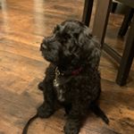 Profile Picture of Garret Wilson (@garret.wilson.16) on Instagram