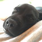 Profile Picture of Michael marc Muraille (@mikatenerife) on Instagram