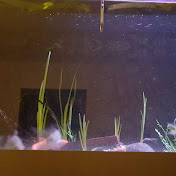 Profile Picture of Eric Bos (@ericbos9663) on Youtube