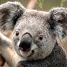 Profile Picture of Malcolmm (@maximemalcolm) on Tiktok