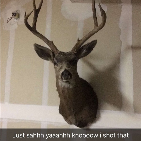 Profile Picture of Chad Proctor (@docproc32) on Poshmark