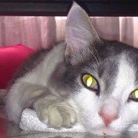 Profile Picture of Julián Escobar (@julián-escobar-3) on Quora