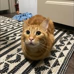 Profile Picture of Ian Fair (@Ian-Fair) on Facebook